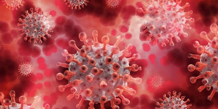 İstanbul İl Sağlık Müdürlüğünden ‘M çiçeği virüsü’ iddialarına ilişkin açıklama