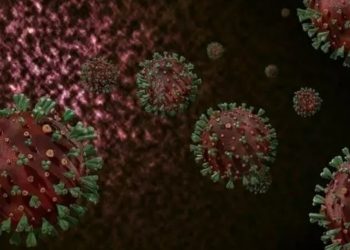 Mehmet Ceyhan açıkladı! İşte maymun çiçeğinde en riskli il